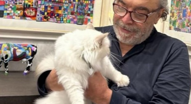 Nino Frassica e il gatto Hiro scomparso a Spoleto: l'attore accusato di istigazione a delinquere, stalking e diffamazione (come la moglie e la figlia)