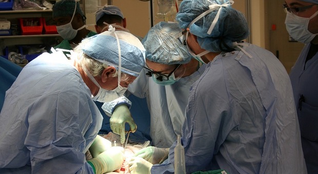 Task force di chirurghi in 24 ore trapianta tre cuori e due reni