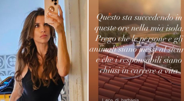 Elisabetta Canalis e la rabbia social per gli incendi in Sardegna: «Rinchiudeteli a vita»