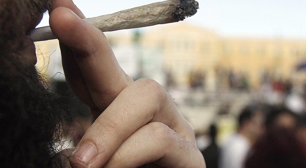 Droga a scuola, nuovo blitz della polizia: sequestrati hashish e marijuana