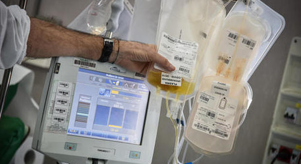 Plasma iperimmune, curare i malati con il sangue dei guariti: come funzione a quali ospedali portano avanti la sperimentazione