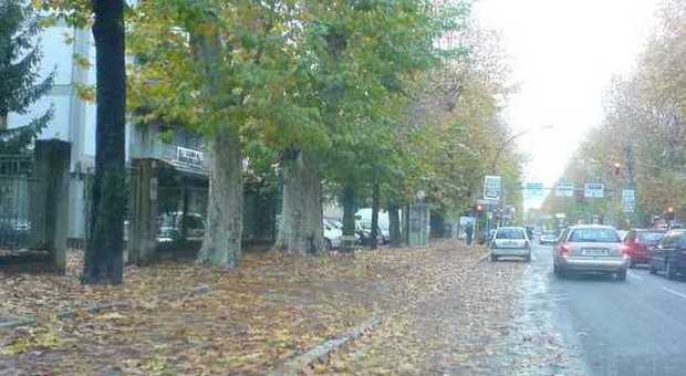 Nella foto le foglie che occupano i marciapiedi di viale Maraini