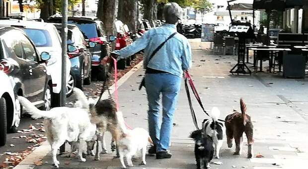 Dalle ragazze rapite a via del Corso alla donna che filma i cani: come cambiano le leggende metropolitane