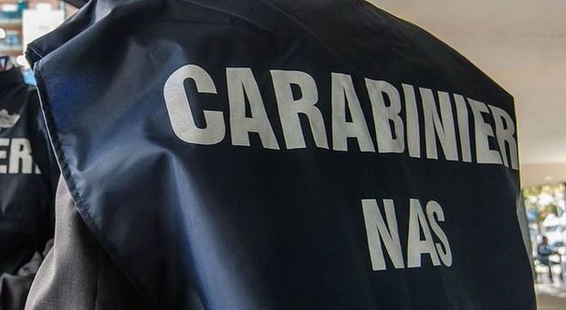 Pescara, Nas nelle mense scolastiche: sequestri e denunce