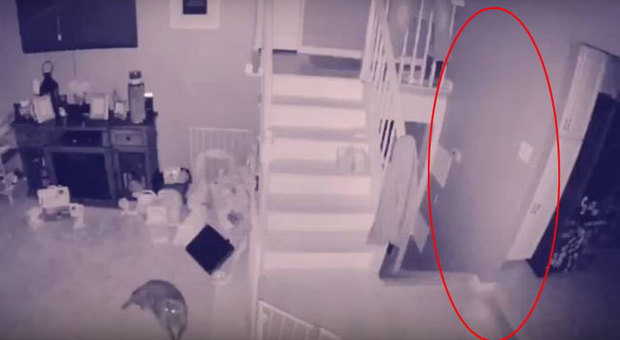 La telecamera in casa riprende il fantasma di un bambino, il video virale divide gli utenti sul web