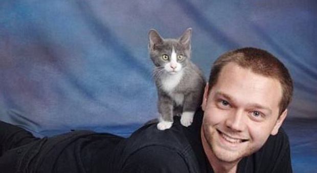 Winslow, il gattino salvato dai social nework: operato dopo una colletta sul web