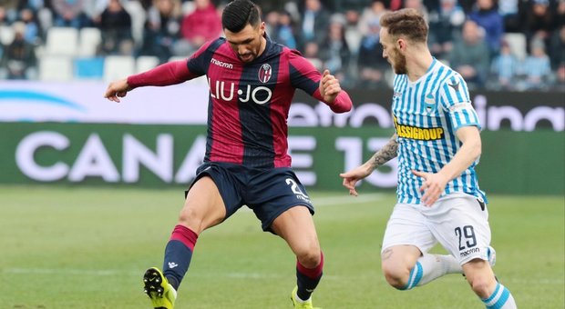 Palacio e Antenucci, tra Spal e Bologna finisce 1-1