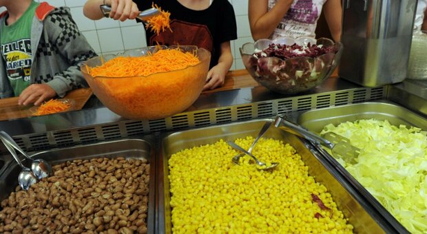 Carne vieta a mensa nelle scuole di Lione, il sindaco: «Misure per il Covid». Ma è polemica
