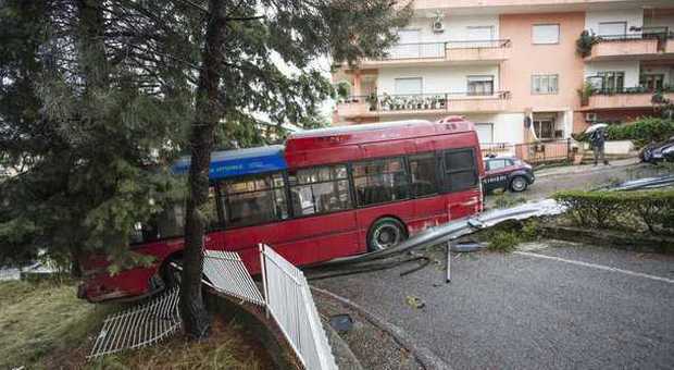 Il bus ha i freni rotti, autista ferma il mezzo contro un albero|La foto