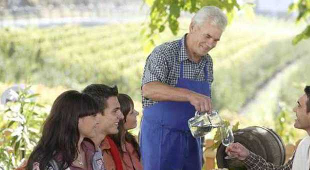 Si va per vino e castagne: autunno in Valle Isarco