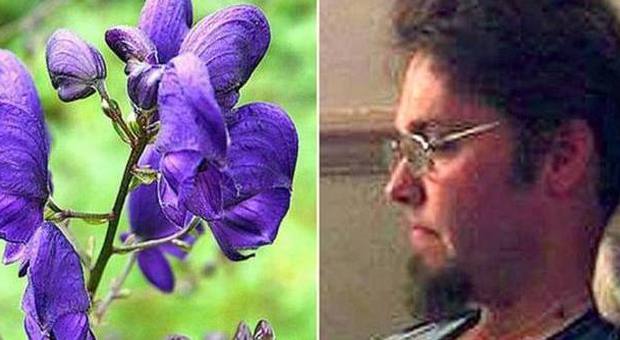 Giardiniere di 33 anni muore al lavoro Ucciso da un fiore velenoso