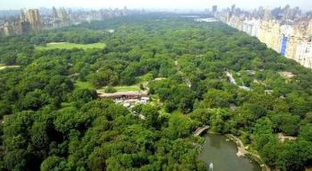 Il Central Park