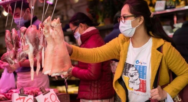 Covid, carne di maiale positiva al nuovo coronavirus: la scoperta in un mercato della Cina