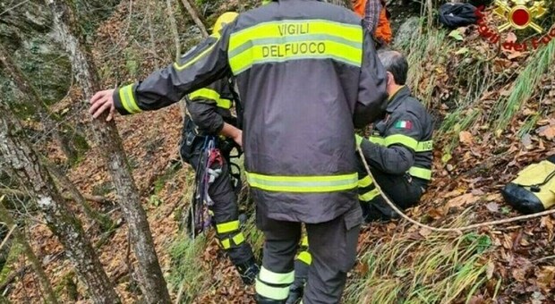 https://statics.cedscdn.it/photos/MED/37/84/8363784_19152112_morto_bosco.jpg