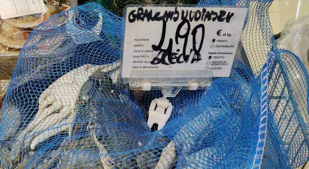 In vendita in un supermercato veneto il granchio blu della Grecia, l'ira di Coldiretti: «Un'offesa ai cittadini»