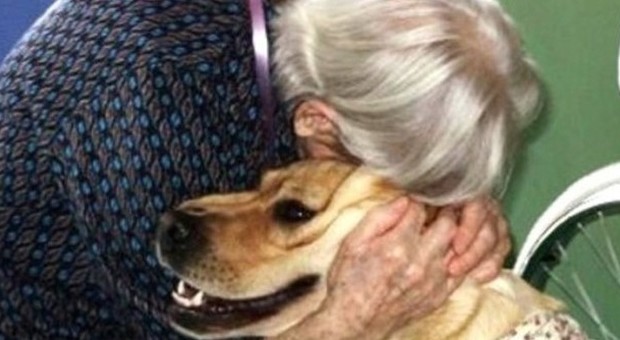 Monfalcone, a 80 anni dorme in macchina perché non vuole separarsi dal suo cane