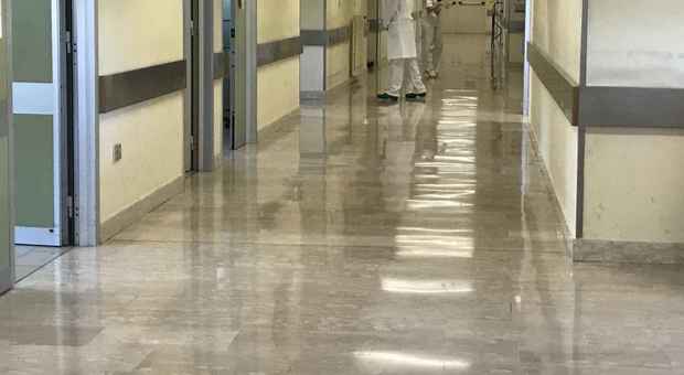 Medico sospreso a pulire le seppie in ospedale: licenziato (foto d'archivio)