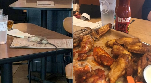 Topo cade sul tavolo di una ragazza al ristorante Buffalo, la foto fa il giro dei social