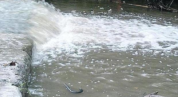 Cromo nella Solofrana, acqua vietata per i campi