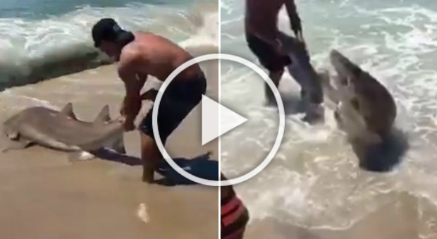 Cattura col figlio 13enne uno squalo tigre di 90 kg, poi il gesto inaspettato