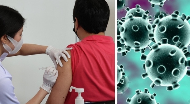 La variante Delta «buca i vaccini esistenti», allarme negli Usa