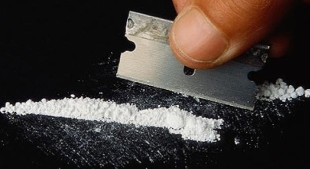 Il "povero" corriere della cocaina: «Guadagno soli 10 mila euro al mese...»
