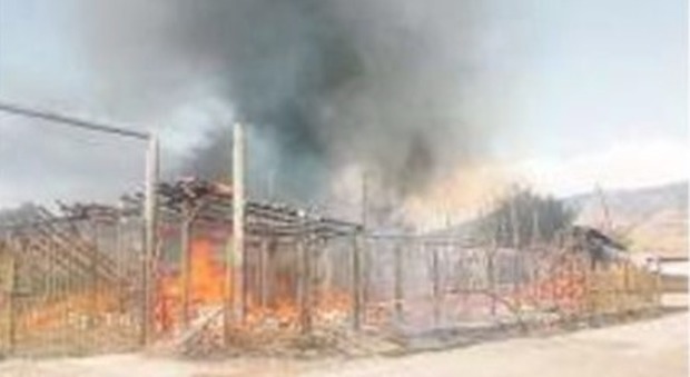 Incendio di canneti a Baia Azzurra, distrutta impresa di tetti in legno