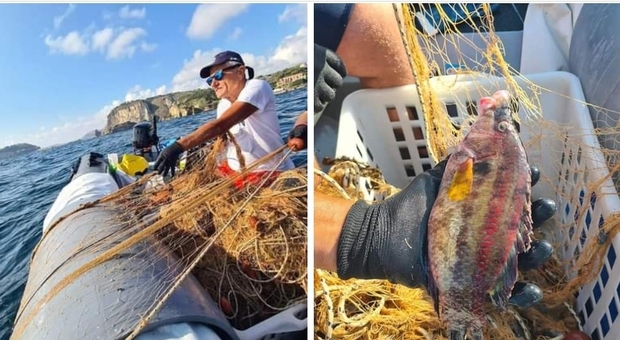 Rimossa rete da pesca illegale di 200 metri dai fondali dell'Area Marina Protetta di Gaiola