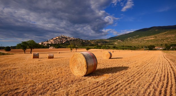 da "Angolo di Campo", contest fotografico di Umbria Agricoltura
