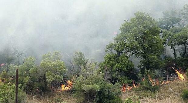 Sannio, la montagna continua a bruciare: già distrutti ottanta ettari di bosco
