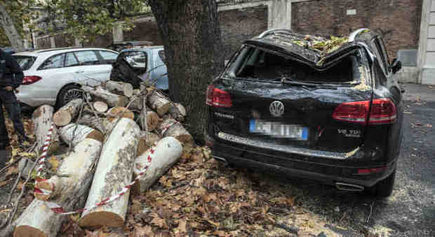 Alberi crollati, strage continua: Ai Parioli ramo cade su auto