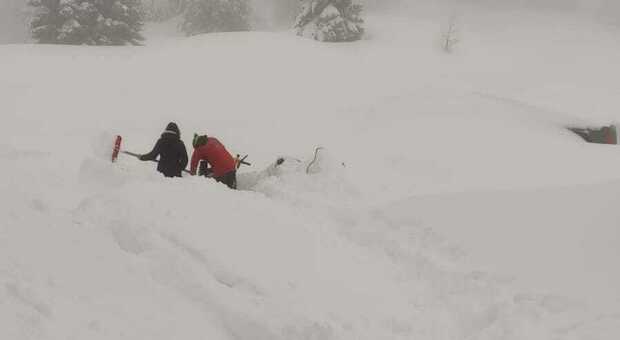 Coppia di gestori con 4 husky "prigioniera" della neve al Rifugio Valbona: «Stiamo finendo le scorte di legna»