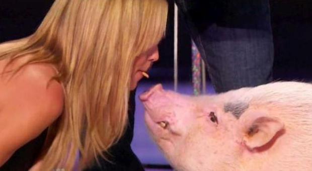 Heidi Klum bacia un maialino sul palco: «Ho già incontrato tipi come lui» Foto