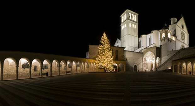 Natale, messaggio di speranza all'Italia, la Natività giottesca proiettata sulla basilica di Assisi