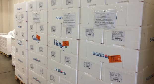 Tonno e salmone senza etichettatura: sei tonnellate di prodotto sequestrato