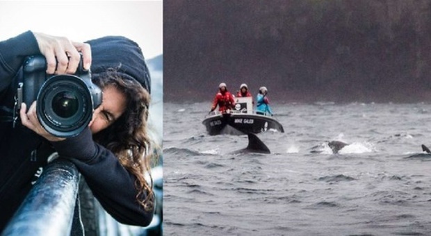 Marianna, fotografa di mari e oceani, naturalista in "guerra" con le baleniere