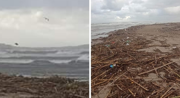 Mare in burrasca a Licola: la spiaggia diventa una distesa di legname e rifiuti