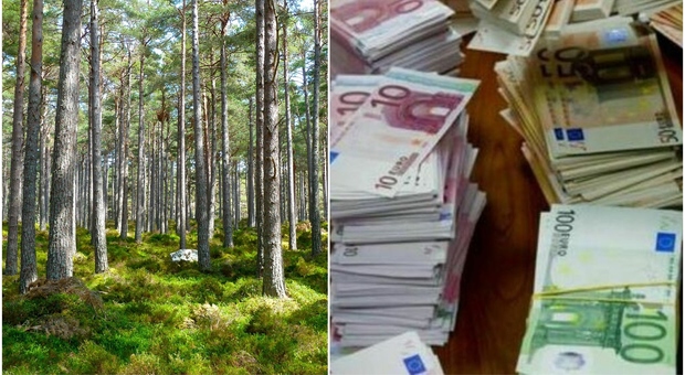 Anziano trova 10mila euro in un sentiero nel bosco: le banconote erano avvolte in una busta di cellophane e sotterrate