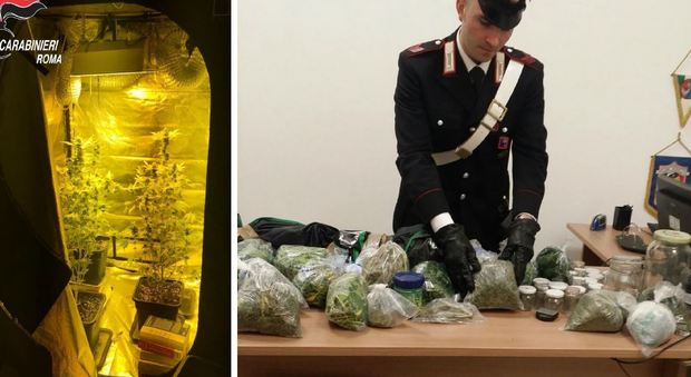 Roma, scoperta casa con serre di marijuana a Monteverde: arrestato 45enne