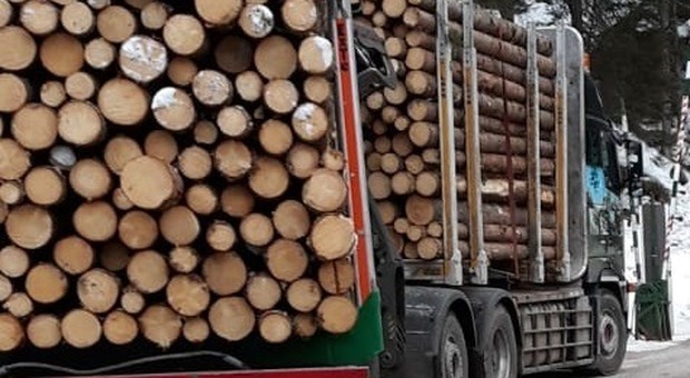 Multe ai camion troppo carichi di legno di Vaia