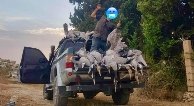 Bracconieri massacrano centinaia di gru e pellicani e postano le foto sui social (immagini pubbl da CABS Italia Antibracconaggio su Fb)