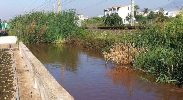 Angri, melma e liquami nel Canale San Tommaso: danni ai campi e residenti infuriati