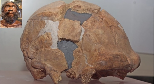 Argil torna in Ciociaria dopo 30 anni: il cranio dell’Uomo di Ceprano in mostra a Pofi per la prima volta