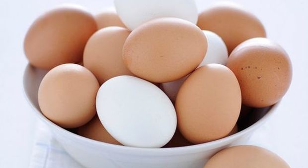Consumi, uova star del carrello nel 2018 (+17%)