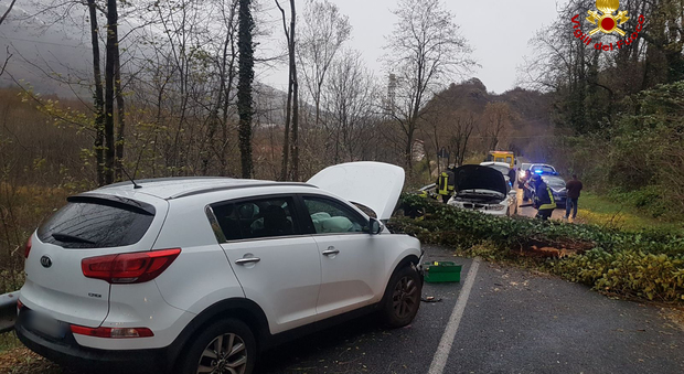 L'albero caduto a Velo d'Astico che ha colpito due auto