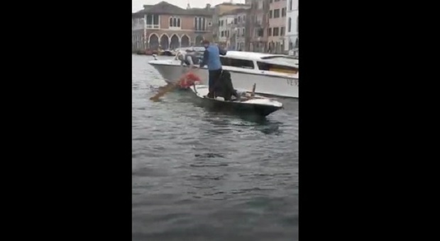 Uomo caduto in acqua in Canal Grande, premiato il tassista. Appello per trovare i giovani che lo hanno aiutato