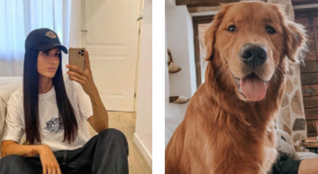 Valentina Vignali, l'appello su Instagram: «Ho perso il mio cane, aiutatemi a ritrovarlo»