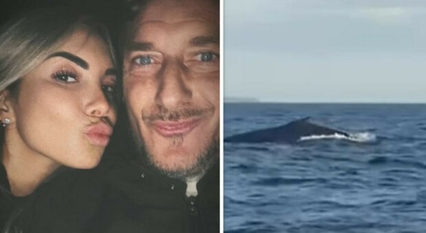 Francesco Totti e Noemi Bocchi in barca: l’incontro con una grande balena in mare aperto stupisce i fan