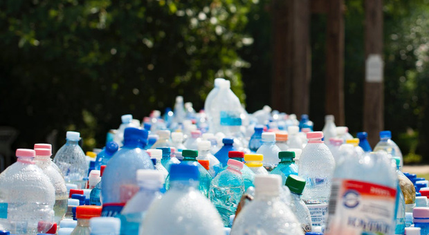 Marche poco "free": differenziata ogni anno solo il 38% della plastica