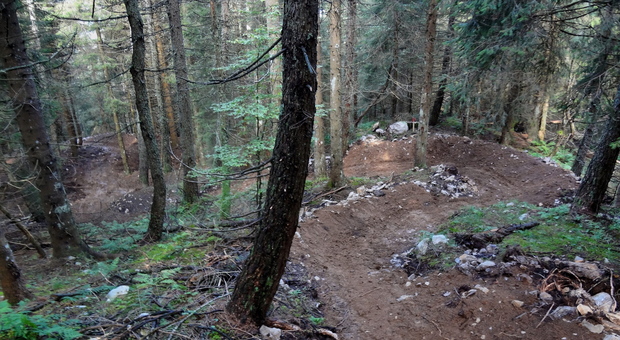Ragazzo di 14 anni si schianta in mountain bike contro un albero nel bosco: gli amici coordinano i soccorsi